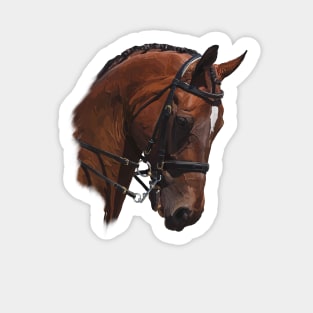 Pferd Sticker